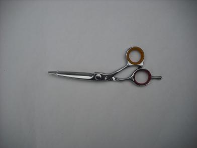DSCF0747paint_scissors